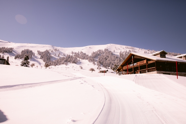 Kalavryta Ski Center